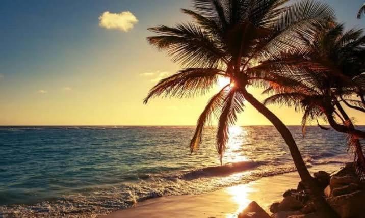 Pé na Areia Vista Total Mar - O Paraíso é aqui! Salvador Esterno foto